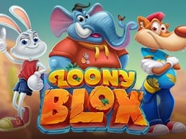 Loony Blox screenshot